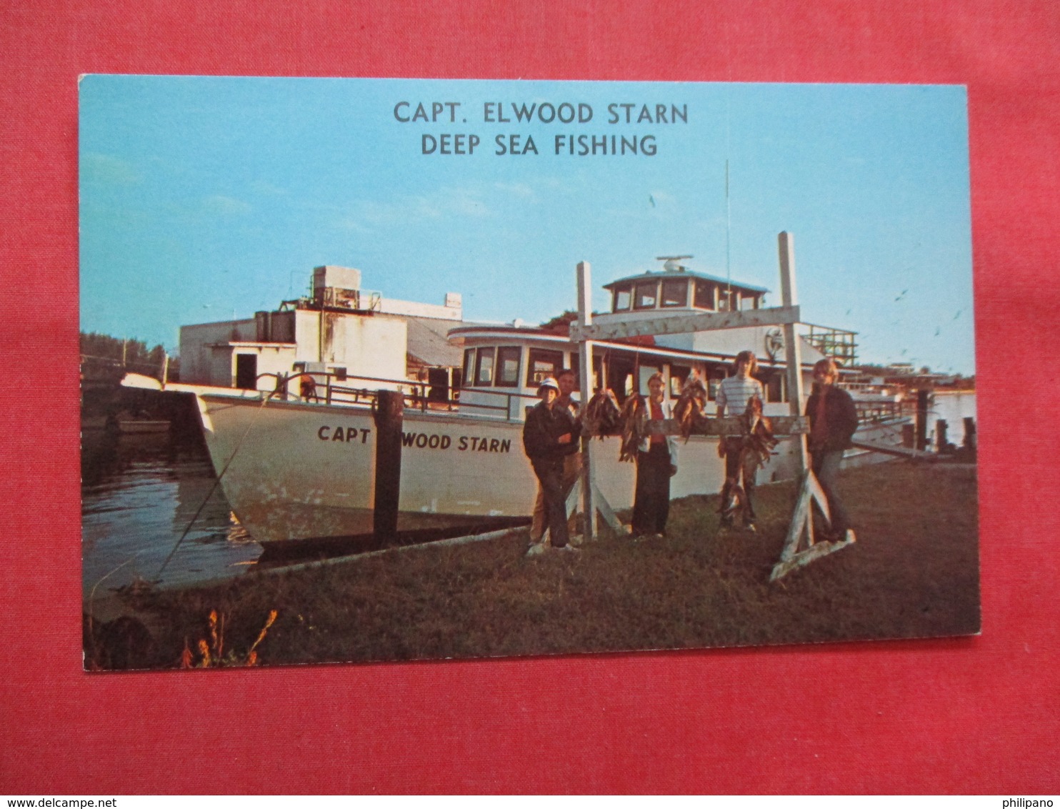 Capt Elwood Starn  Deep Sea Fishing     Florida > Naples  Ref    3561 - Naples