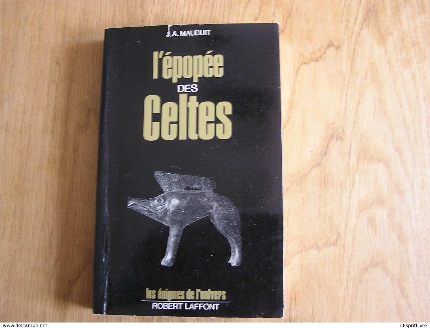 L' EPOPEE DES CELTES Histoire Celte Moyen Age Europe Gaule France Tradition Littérature Celtique Religion Druidisme - Histoire