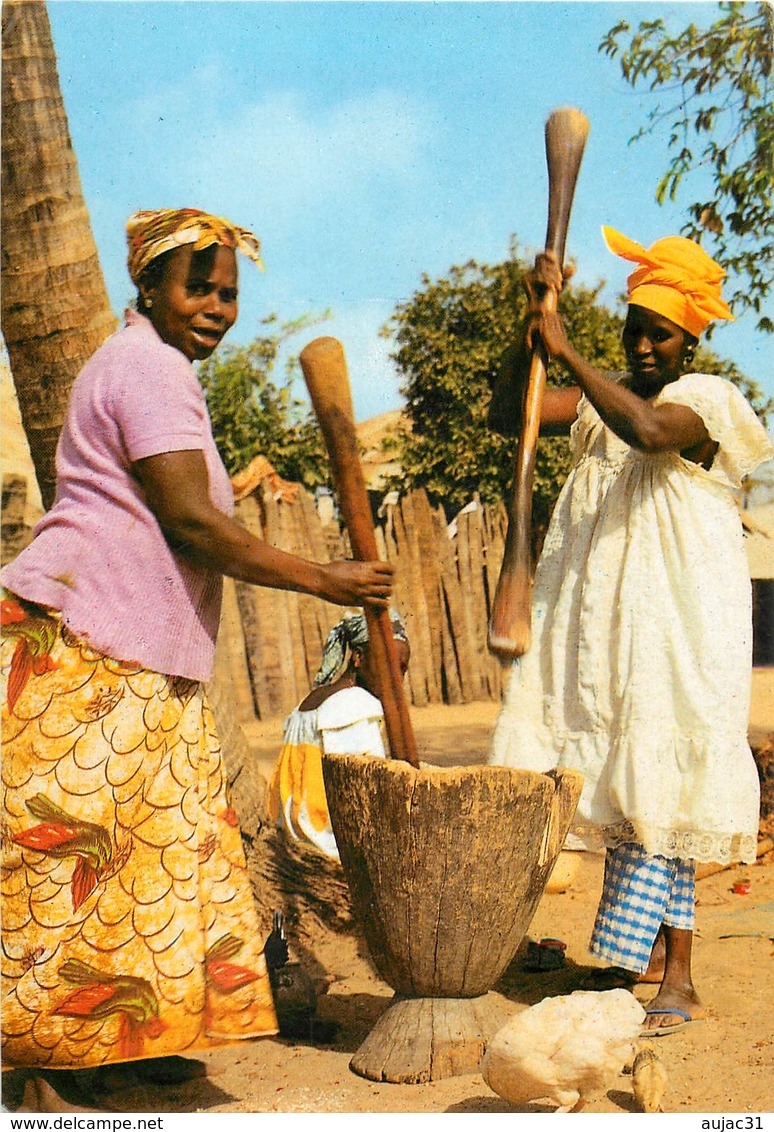 Afrique - Africa - Femmes - Femme - Gambie - Gambia - Village Women Preparing The Evening Meal - état - Gambia