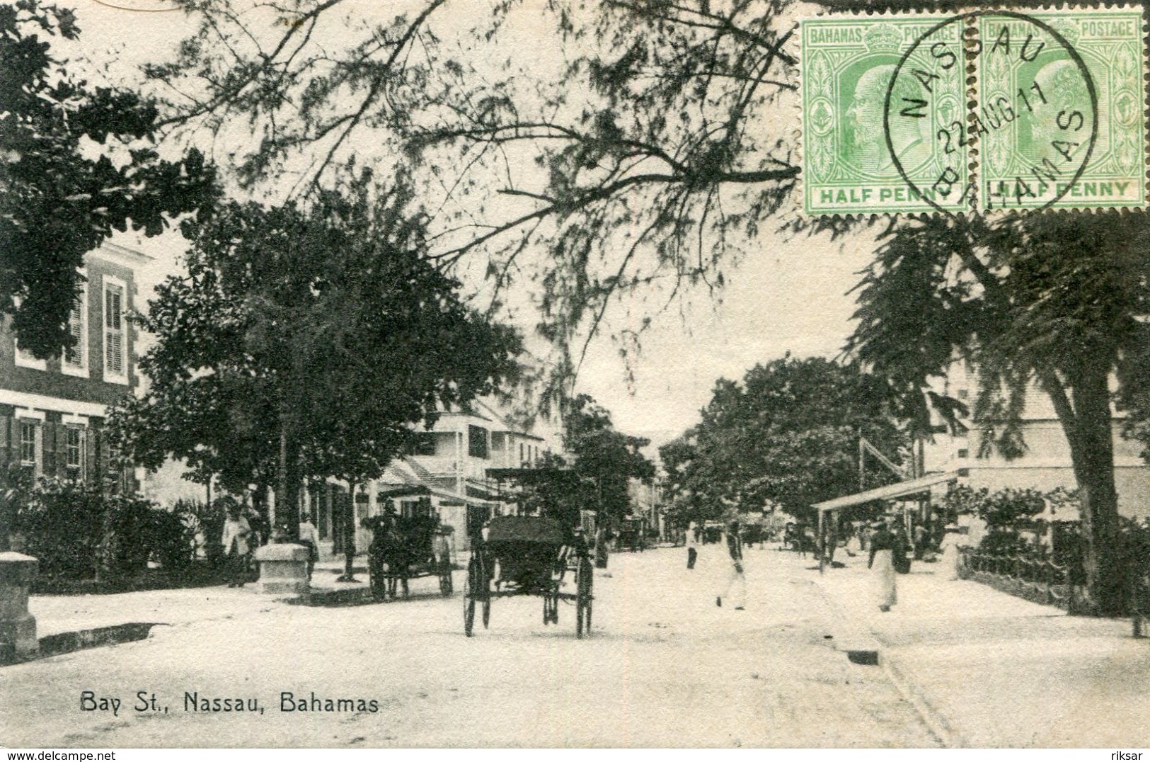 BAHAMAS(NASSAU)  ARBRE - Bahamas