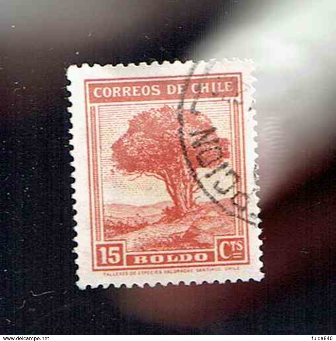 CHILI.(Y&T)   1938-40 - N°169A   *Boldo*   15c.  Obl - Chili