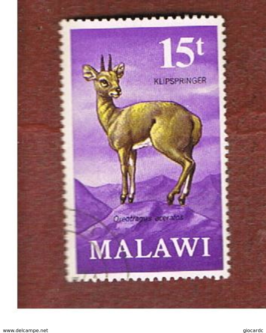 MALAWI - SG 381  -      1971 ANIMALS: KLIPSPRINGER  -  USED° - Malawi (1964-...)