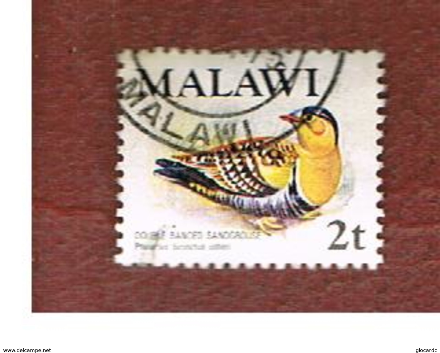 MALAWI - SG 474  -      1975 BIRDS: DOUBLE-BANDED SANDGROUSE  -  USED° - Malawi (1964-...)