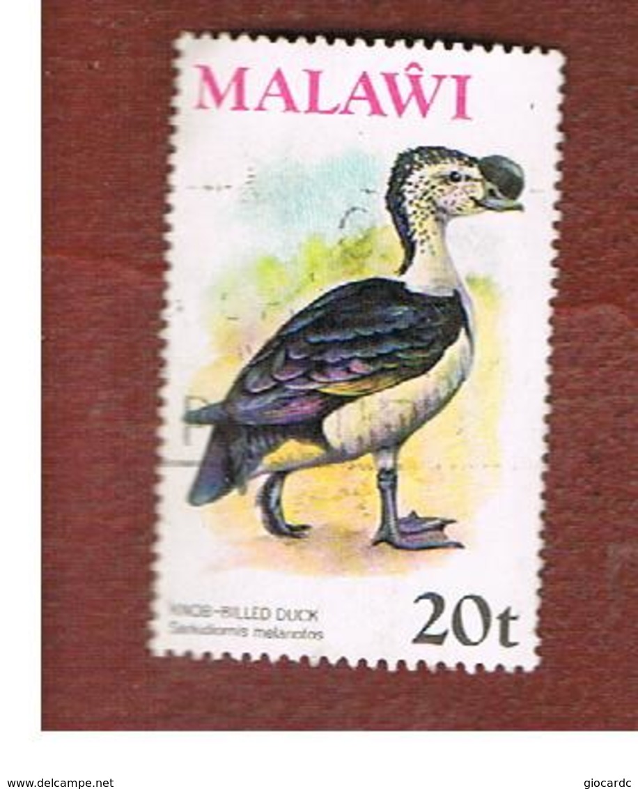 MALAWI - SG 480  -      1975 BIRDS: AFRICAN COMB DUCK -  USED° - Malawi (1964-...)