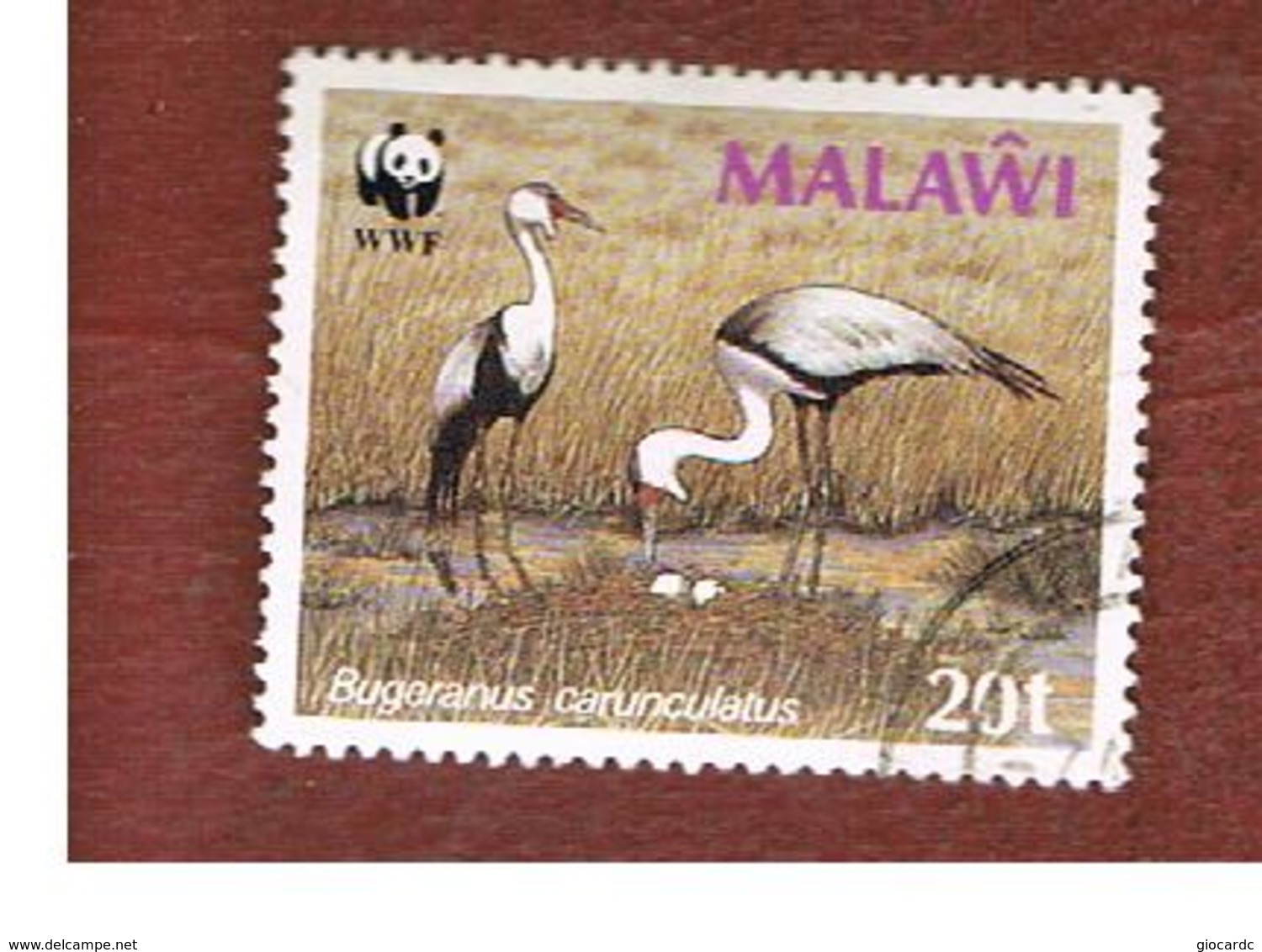 MALAWI - SG 765  -      1988 WWF: WATTLED CRANES   -  USED° - Malawi (1964-...)