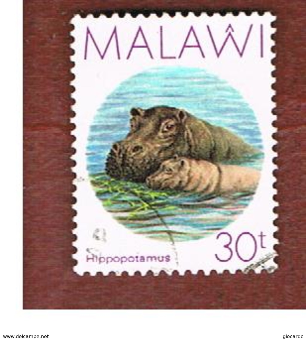 MALAWI - SG 773 - 1987 ANIMALS: HYPPOPOTAMUS   -  USED° - Malawi (1964-...)