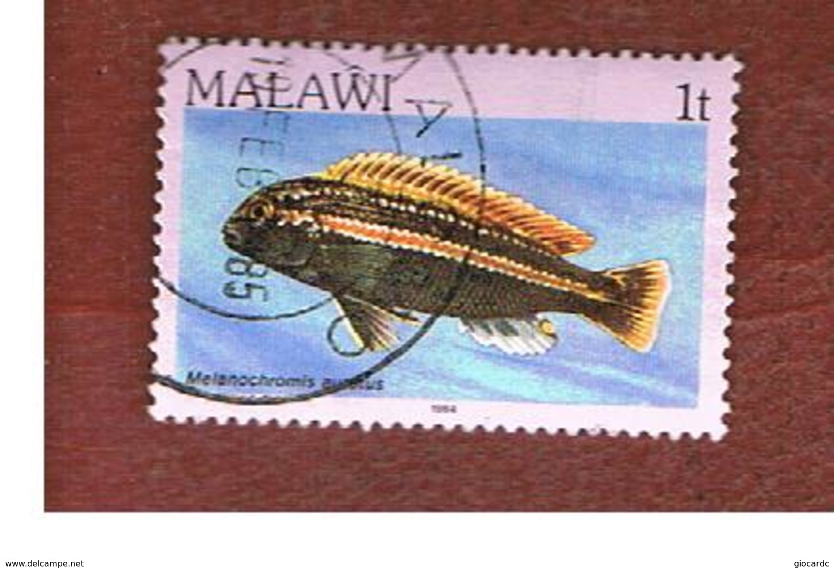 MALAWI - SG 688 - 1984   FISHES: GOLDEN MBUNA    -  USED° - Malawi (1964-...)