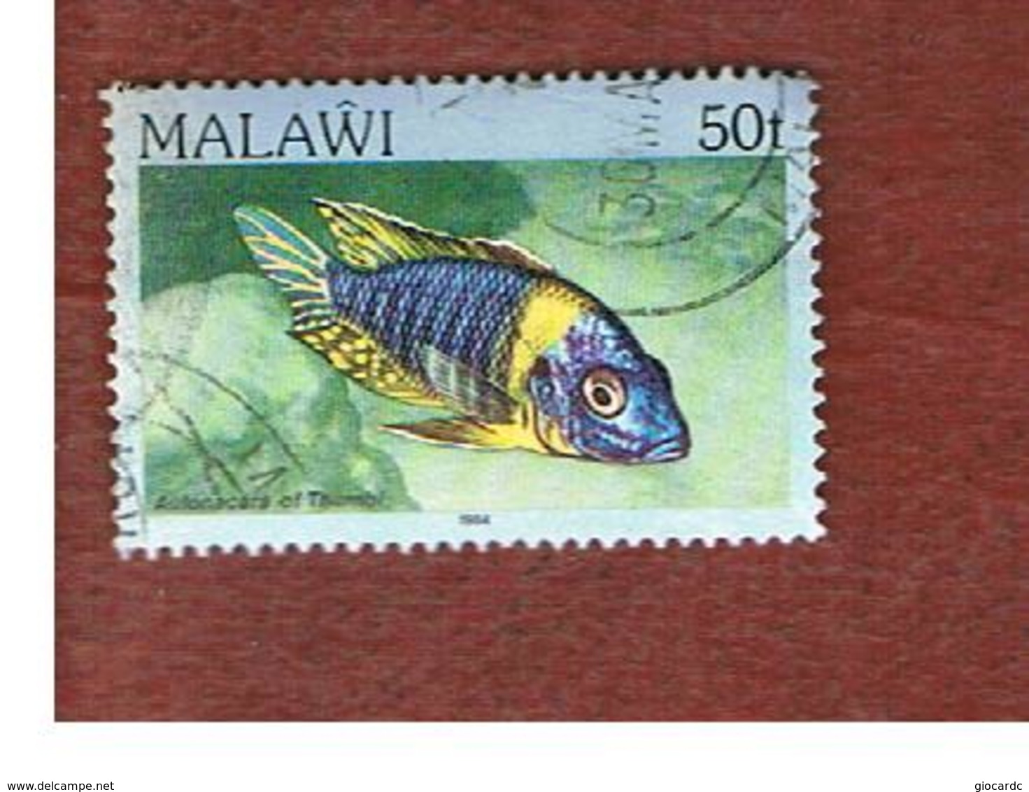 MALAWI - SG 698 - 1984   FISHES: BLUE GOLD PEACOCK   -  USED° - Malawi (1964-...)