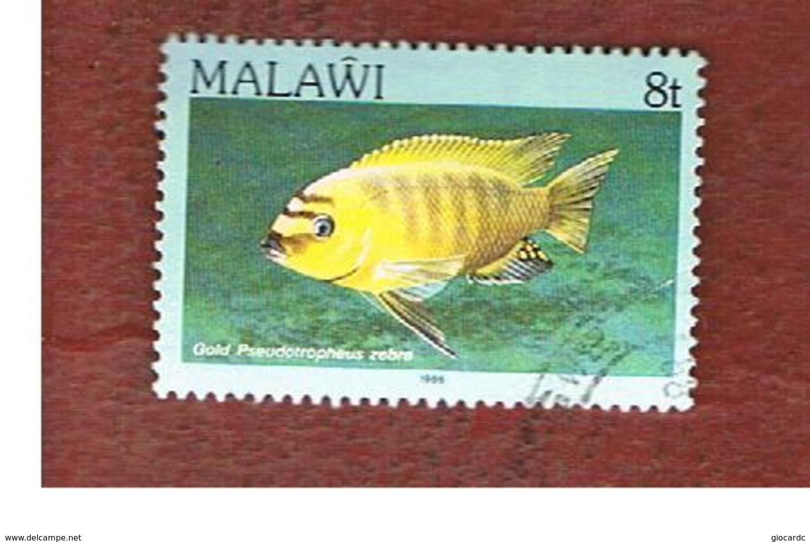 MALAWI - MI 413II - 1986   FISHES: GOLD KAWANGA (DATED 1986)   -  USED° - Malawi (1964-...)