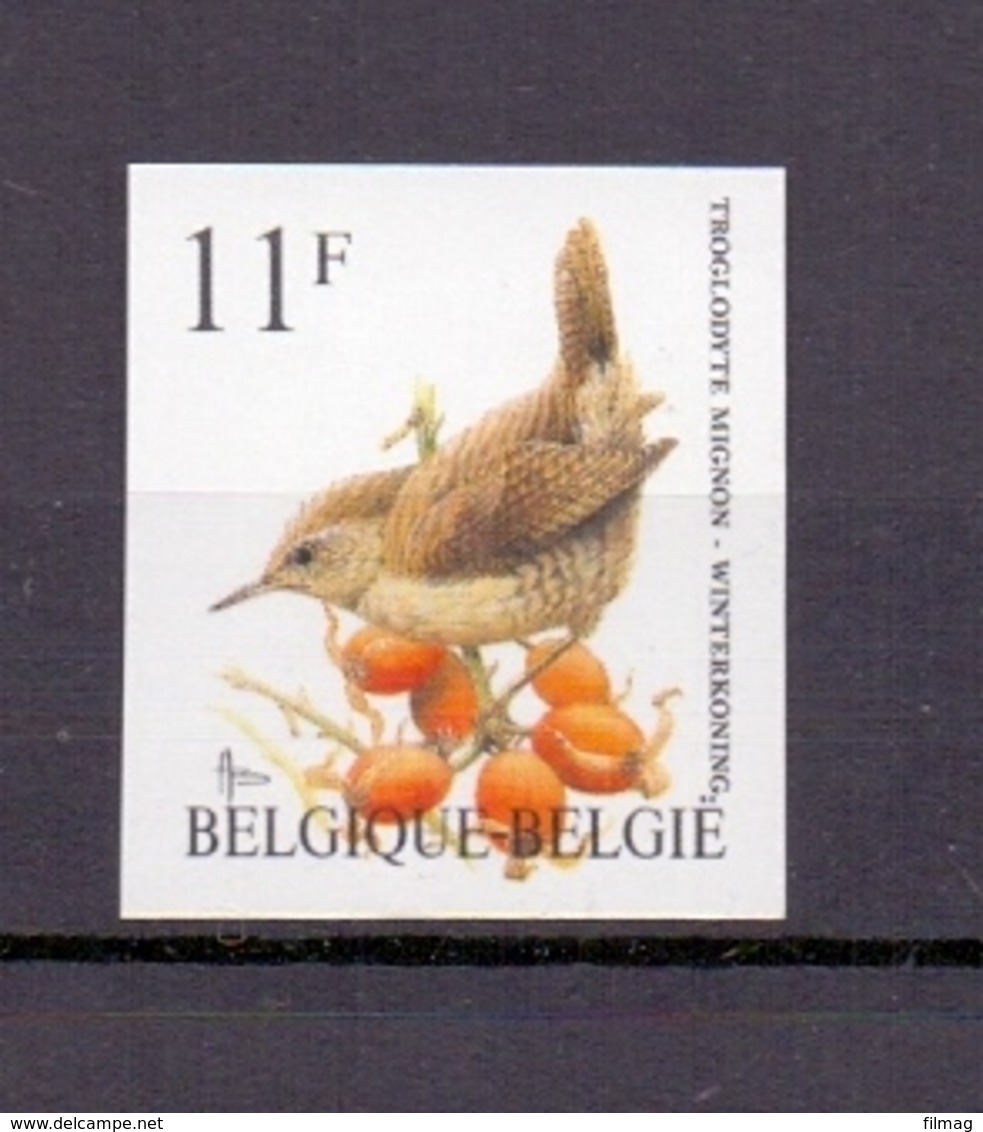 2449 Winterkoninkje Buzin Vogel ONGETAND POSTFRIS**  1992 - Andere & Zonder Classificatie