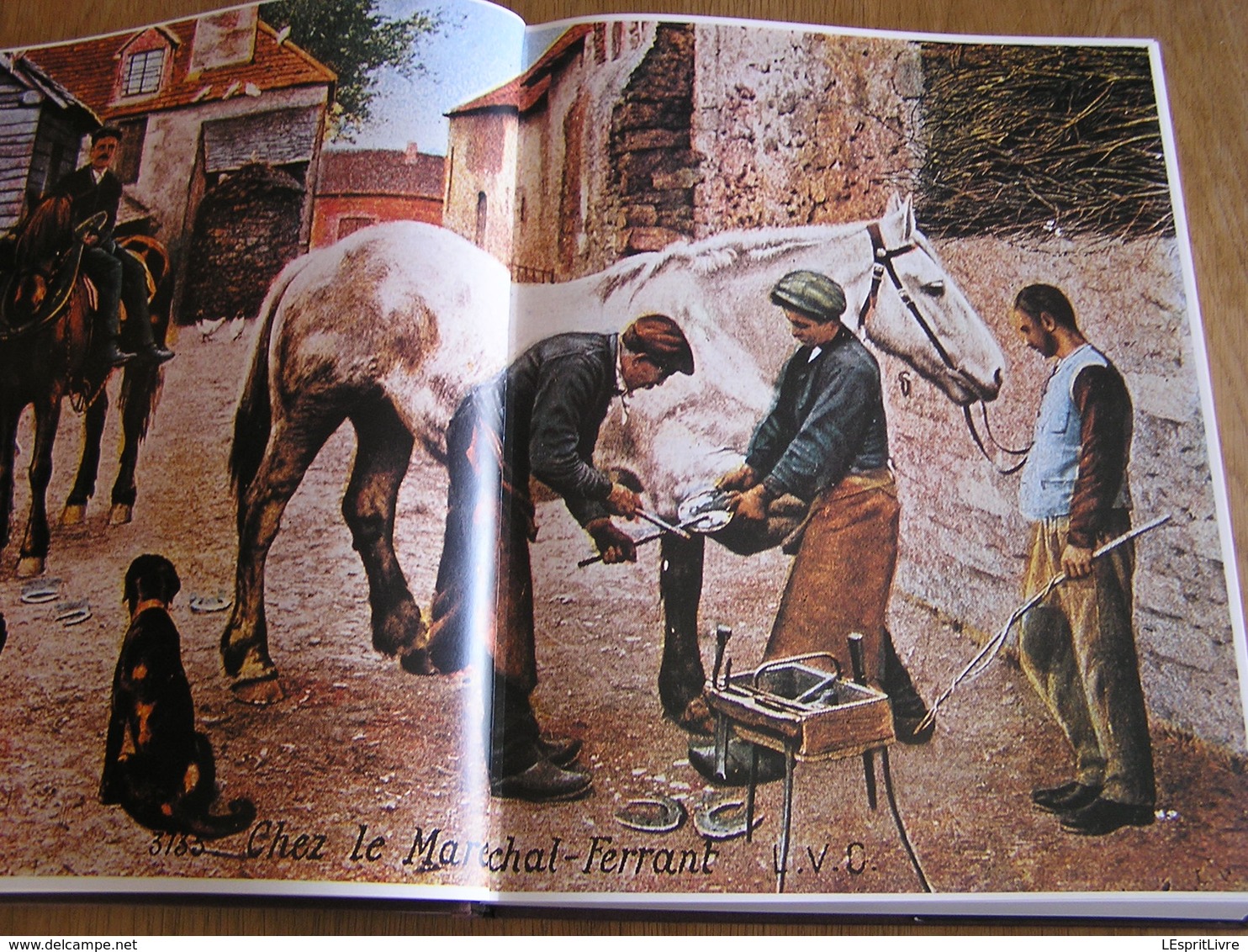 LE TEMPS DES ARTISANS Anciens Métiers Bois Fer Brique Terre Cuite Sabotier Bucheron Maréchal Carrières Tailleur Pierres