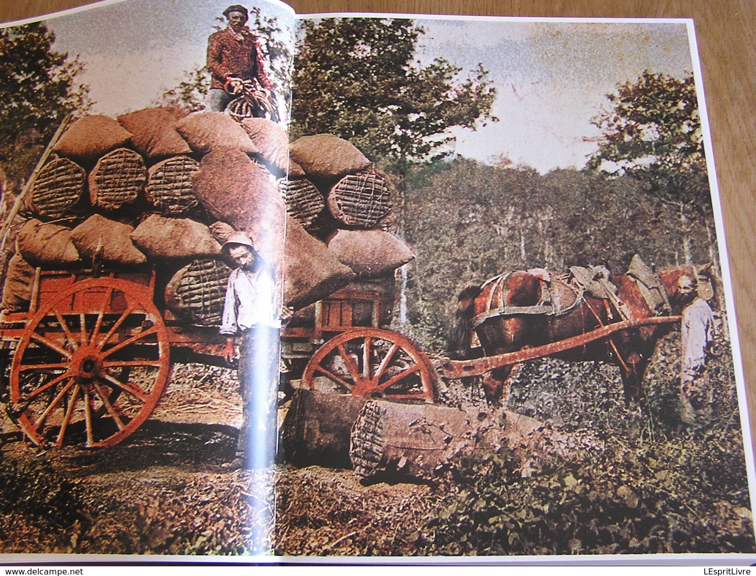 LE TEMPS DES ARTISANS Anciens Métiers Bois Fer Brique Terre Cuite Sabotier Bucheron Maréchal Carrières Tailleur Pierres