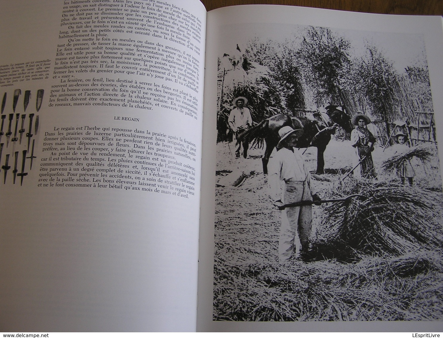 LE TEMPS DES PAYSANS Agriculture Vie Rurale Métiers Outils Ferme Meunier Moulin Fenaison Vendange Animaux Bêtes Fermier