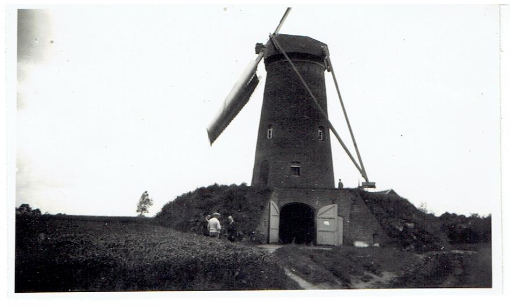 WORTEL - Merksplas - Kleine Foto 10,5 X 6,5 Cm - Stenen Molen L. Schellekens  - Krantenknipsel Van De Molen - Merksplas