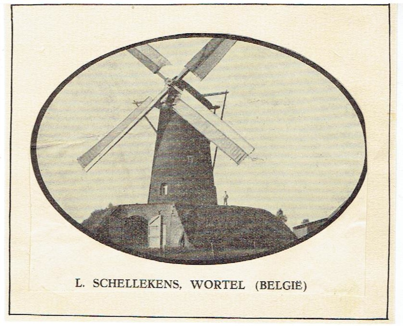 WORTEL - Merksplas - Kleine Foto 10,5 X 6,5 Cm - Stenen Molen L. Schellekens  - Krantenknipsel Van De Molen - Merksplas