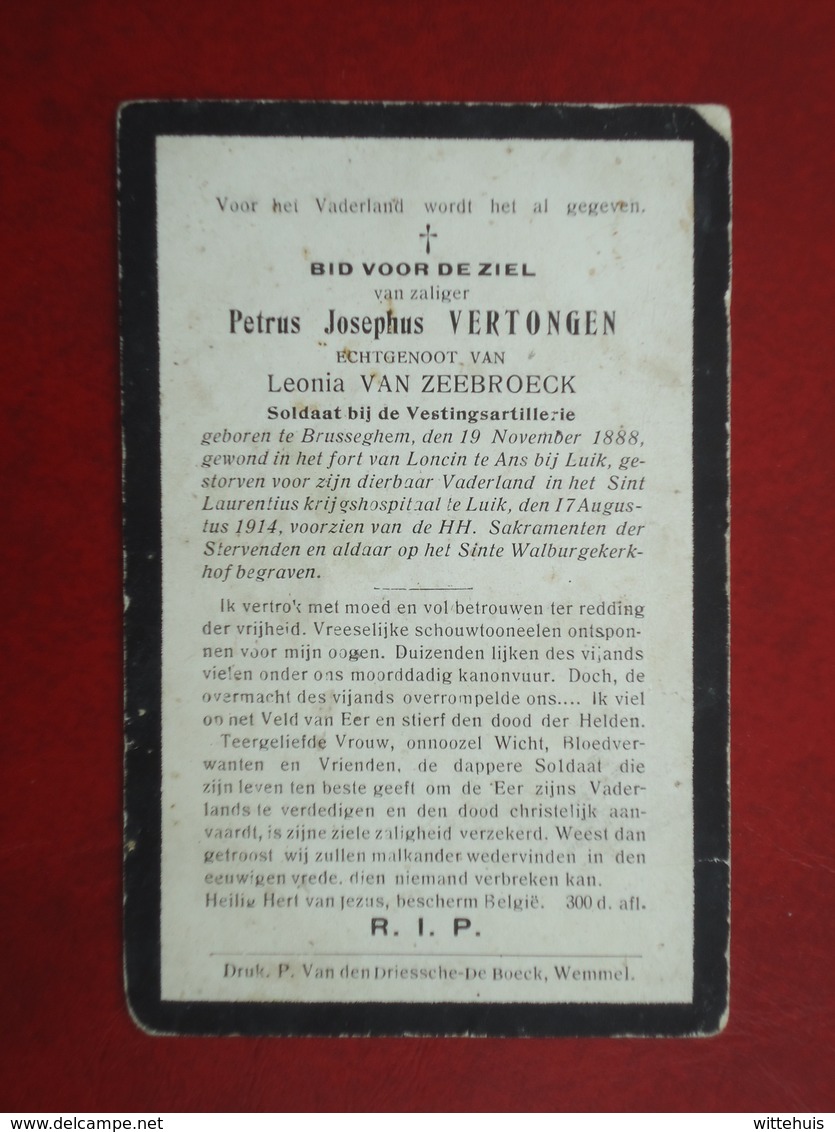 Oorlogslachtoffer Petrus Vertongen Geboren Te Brusseghem 1888 Overleden Te Laurentius ( Luik ) 1914    (2scans) - Religion & Esotérisme