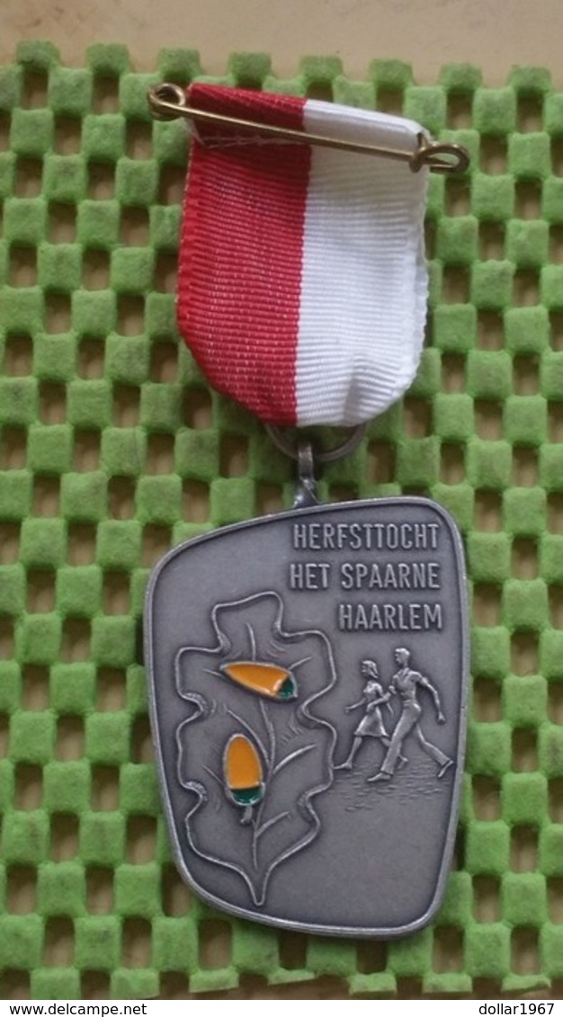 Medaille :Netherlands  - Herfst Toch Het Spaarne , Haarlem.  / Vintage Medal - Walking Association - Autres & Non Classés