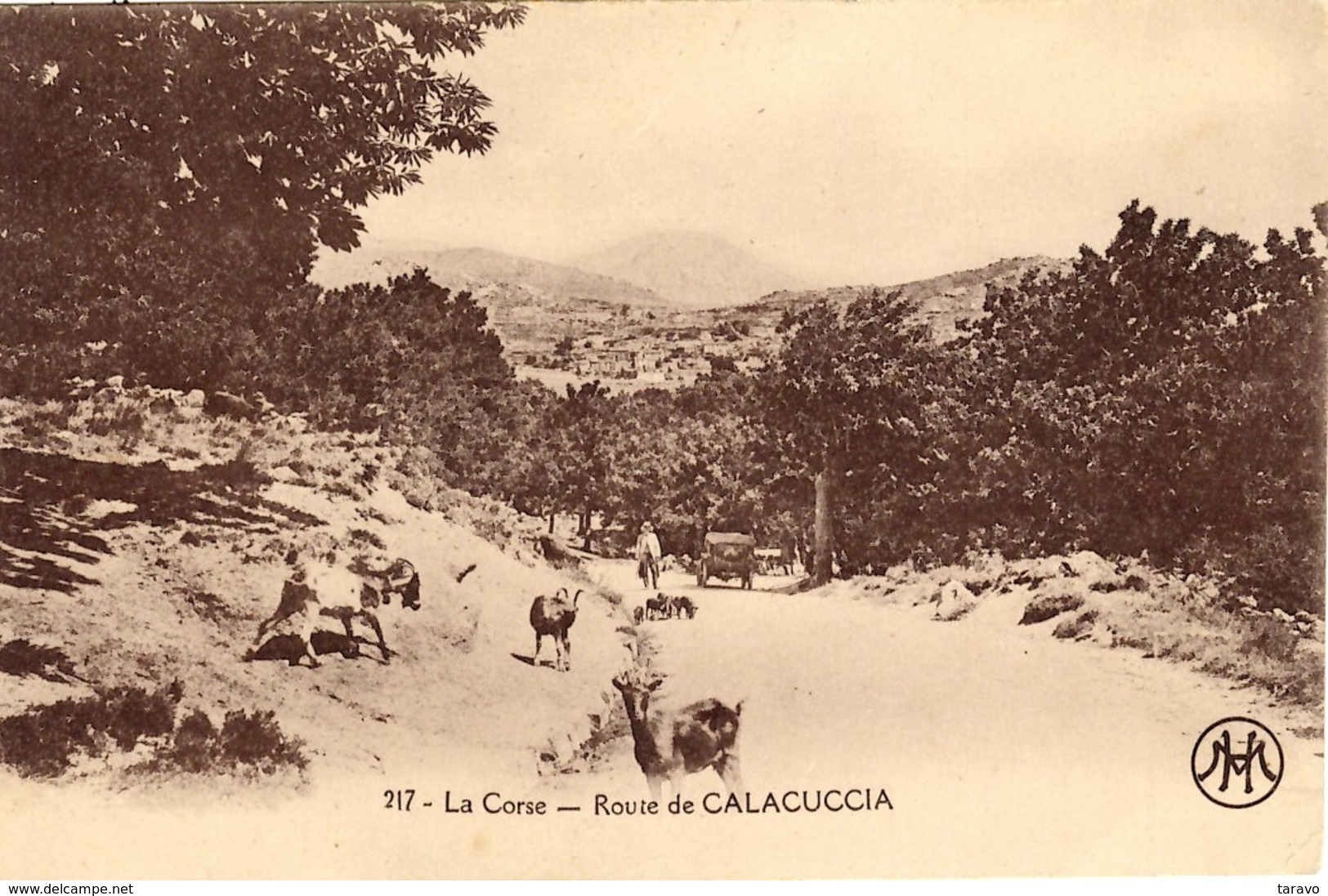 CORSE -- Sur La Route De CALACUCCIA (NIOLO) - Automobiliste Croisant Des Chèvres Vagabondes - Autres & Non Classés