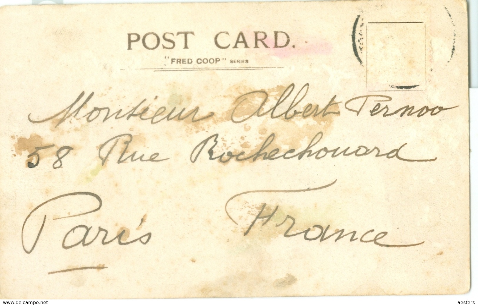 Potchefstroom 1905; River Street (with Cattle) - Circulated. - South Africa