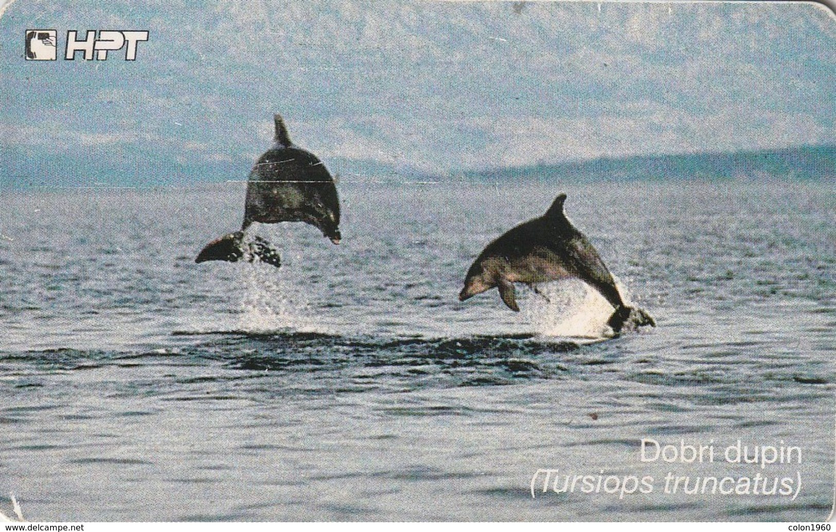 CROACIA. K 35/98. DELFINES - DOLPHINS. (152). - Dolphins