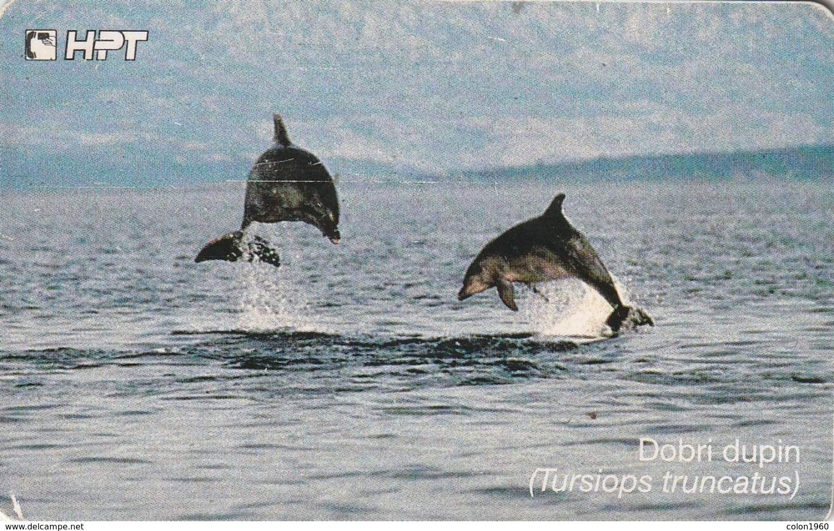 CROACIA. K 35/98. DELFINES - DOLPHINS. (152). - Delfines