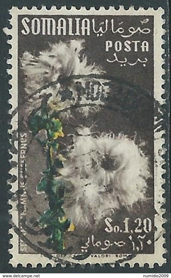 1955 SOMALIA AFIS USATO FIORI 1,20 S - UR31-3 - Somalia (AFIS)