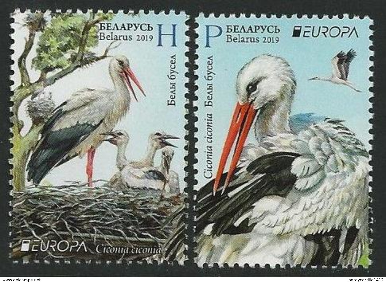 BIELORRUSIA /BELARÚS /WEISSRUSSLAND - EUROPA 2019 -NATIONAL BIRDS.-"AVES -BIRDS -VÖGEL-OISEAUX"- SERIE N - 2019