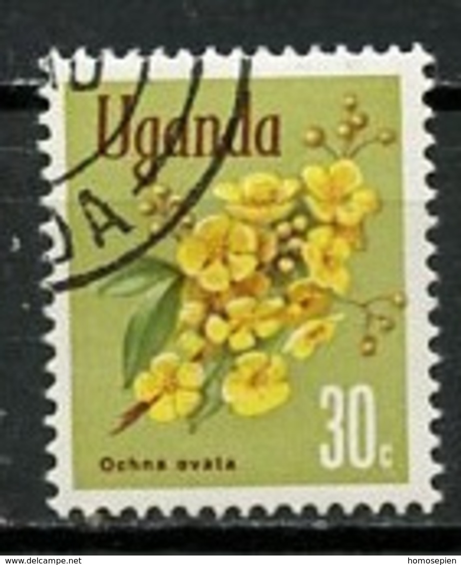 Ouganda - Uganda 1969 Y&T N°86 - Michel N°109 (o) - 30c Ochna Ovata - Ouganda (1962-...)