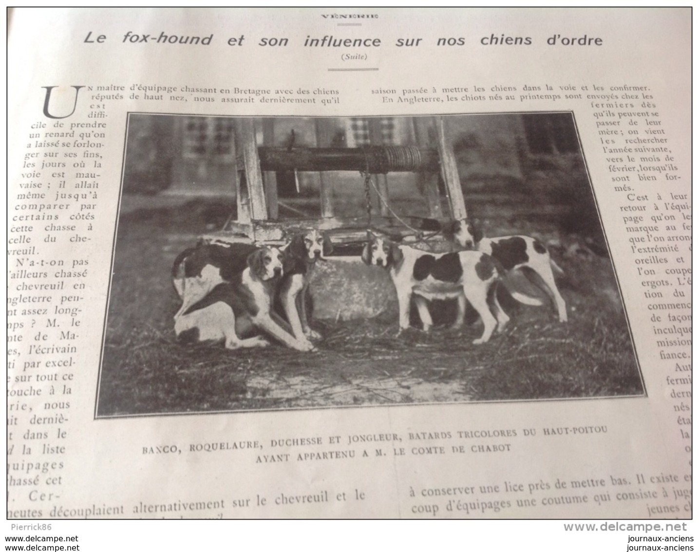 1911 VELODROME DE MARSEILLE JEAN BOUIN / DRAGS DE CHANTILLY / COMTE  DE LASTOURS / VENERIE / CHAT SAUVAGE EN AMERIQUE