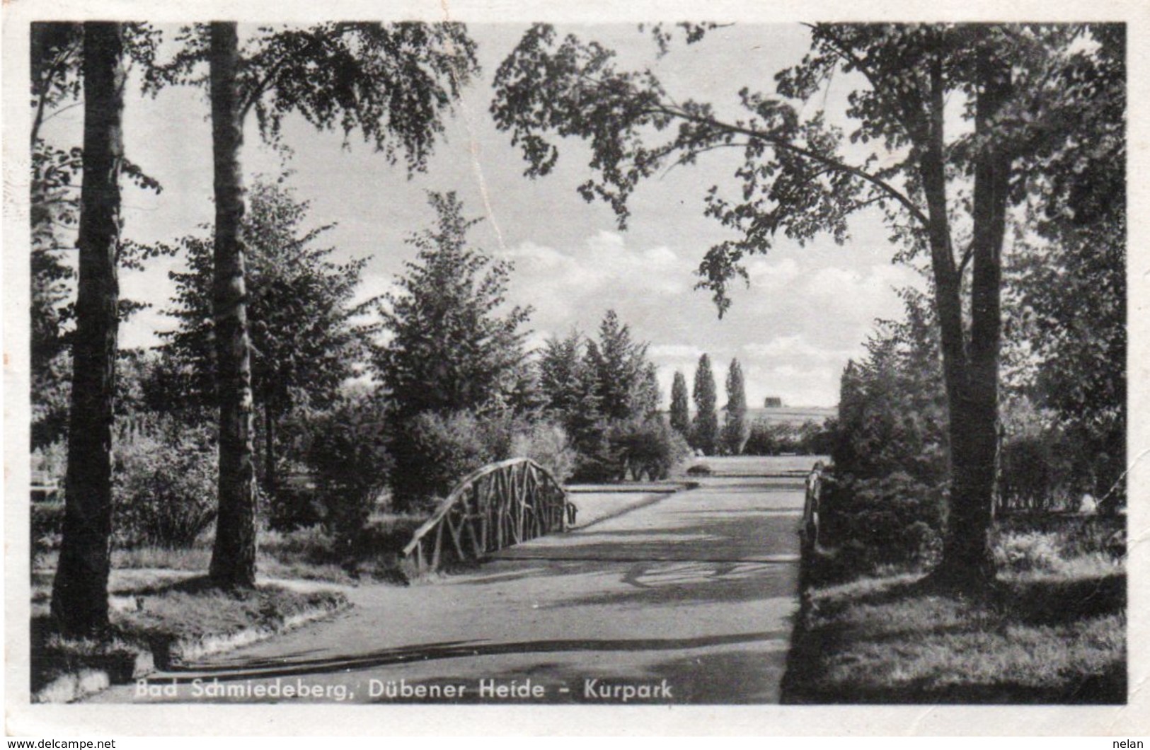 BAD SCHMIEDEBERG-DUBENER HEIDE-KURPARK-REAL PHOTO-  VIAGGIATA 1955 - Bad Schmiedeberg