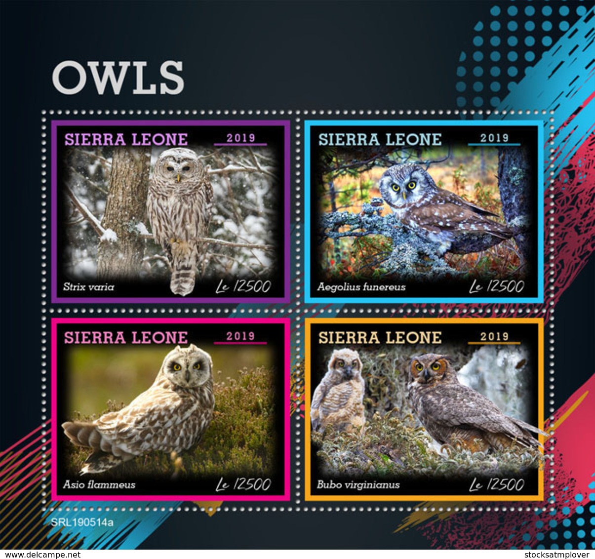 Sierra Leone 2019 Fauna  Owls  S201907 - Sierra Leone (1961-...)