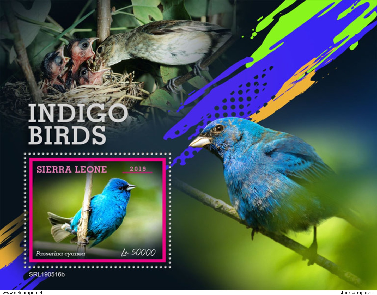 Sierra Leone 2019 Fauna   Indigo Birds   S201907 - Sierra Leone (1961-...)