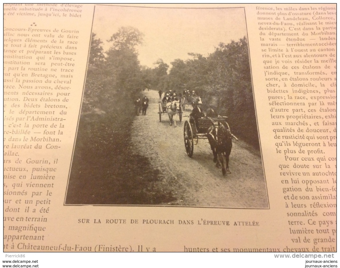 1911 CALLAC (22) PLACE DU MARCHE SURVIE DU BIDET BRETON / TOUQUET PARIS PLAGE / ASINODROME ET COURSES D'ANES / DEAUVILLE - 1900 - 1949