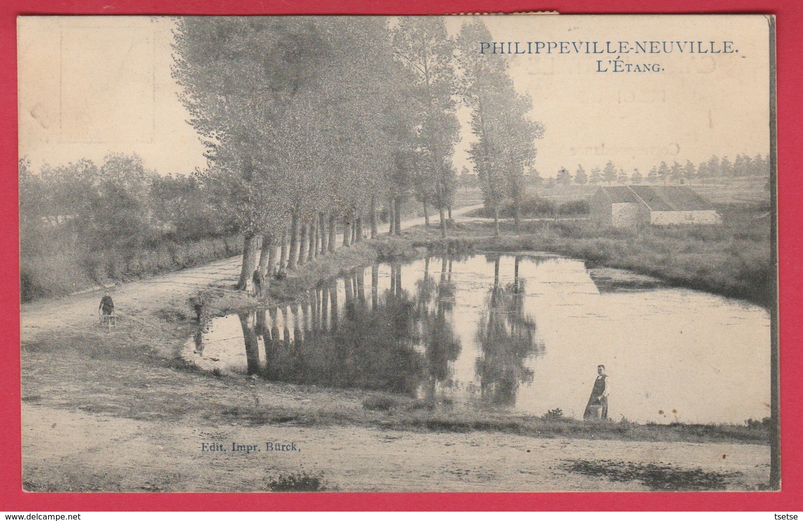 Philippeville-Neuville - L'Etang -1909 ( Voir Verso ) - Philippeville