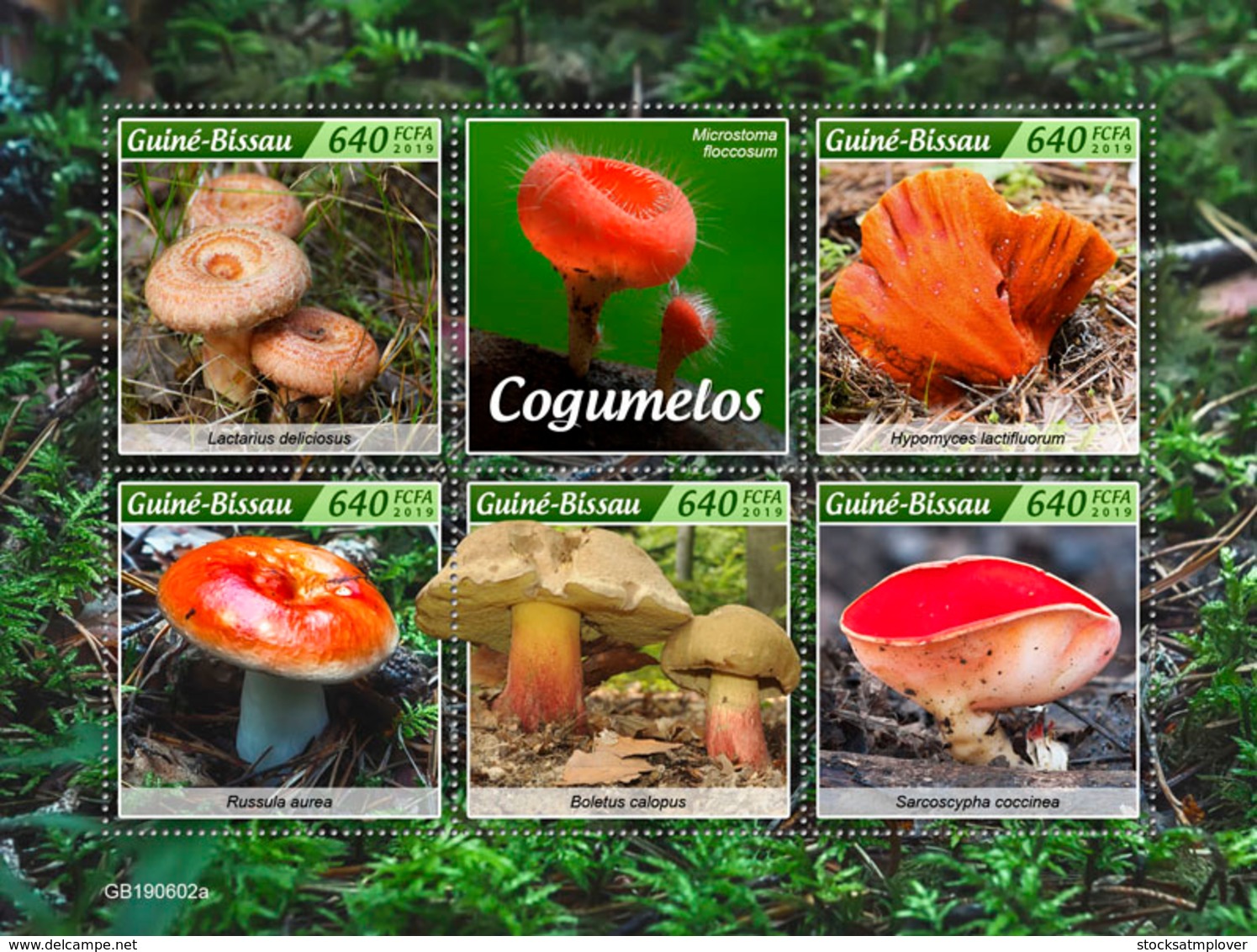 Guinea Bissau 2019 Mushrooms  S201907 - Guinea-Bissau