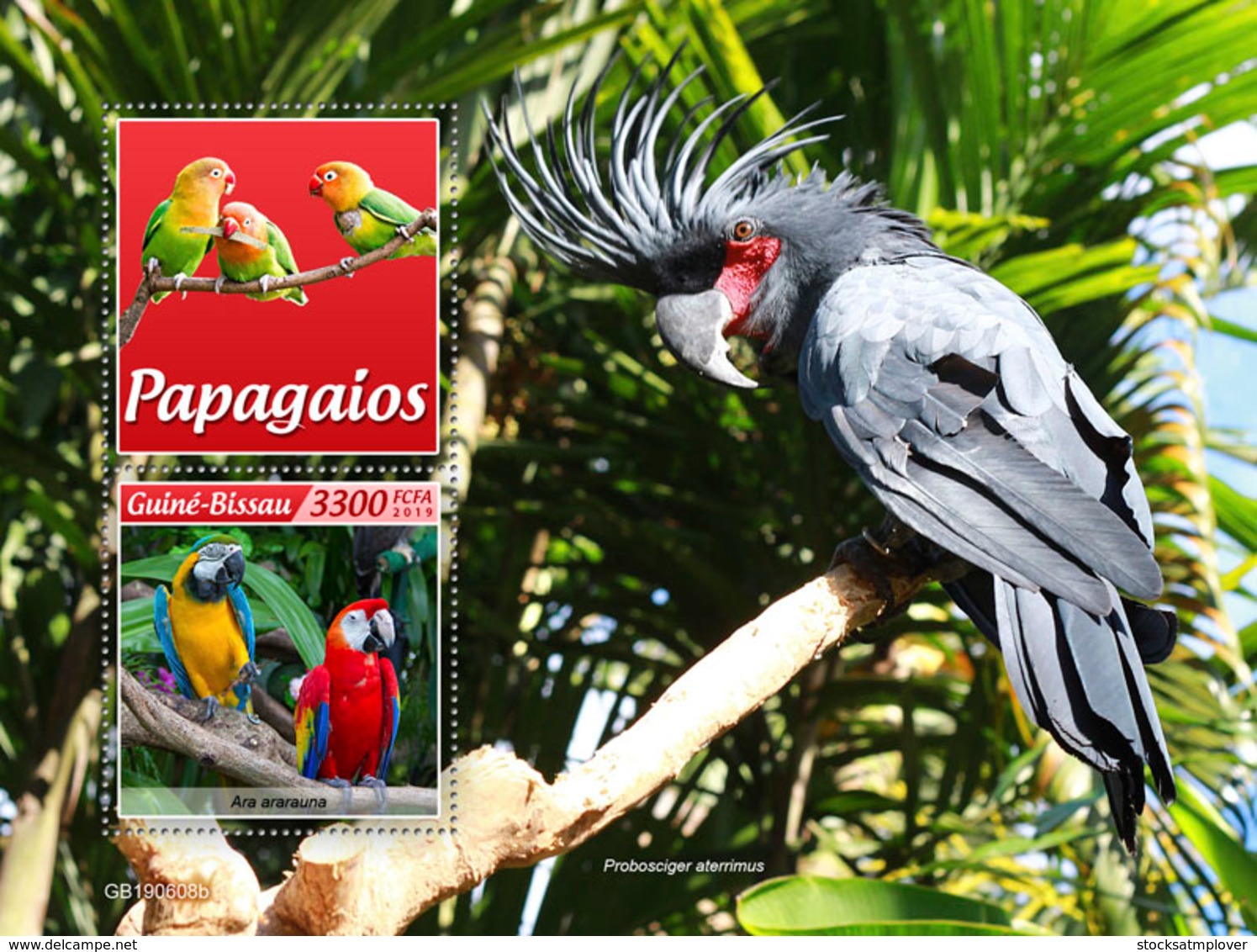 Guinea Bissau 2019 Fauna  Parrots  S201907 - Guinea-Bissau