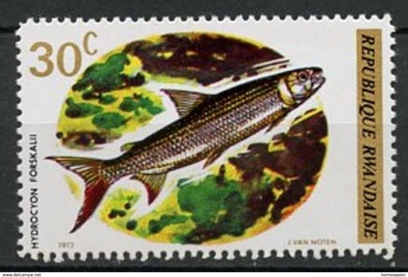 Rwanda - Ruanda 1973 Y&T N°554 - Michel N°578 *** - 30c Poisson - Neufs