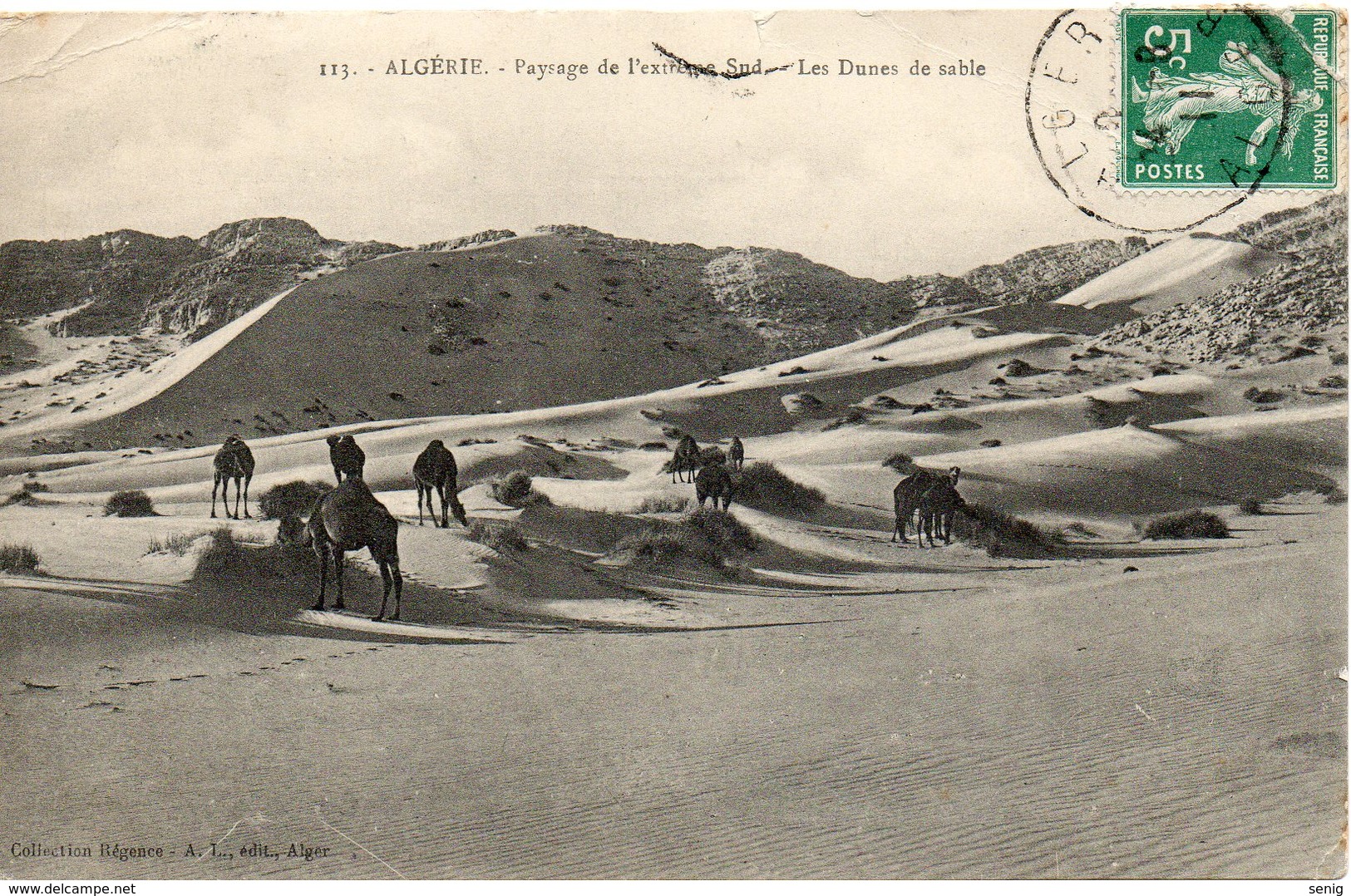 ALGERIE - 113 - Paysage De L'Extrême Sud Les Dunes De Sable- Collection Régence A. L. édit. Alger (Leroux) - - Other & Unclassified