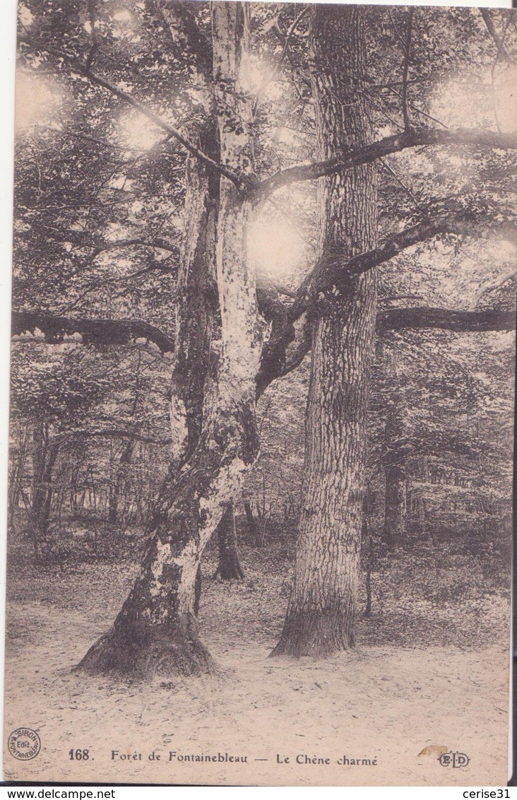 CPA -  168. FORET DE FONTAINEBLEAU - Le Chêne Charmé - Fontainebleau