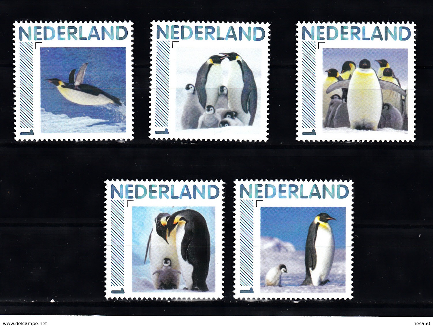 Nederland Persoonlijke Zegel: Pinguins 5 X, Penguin - Nuevos