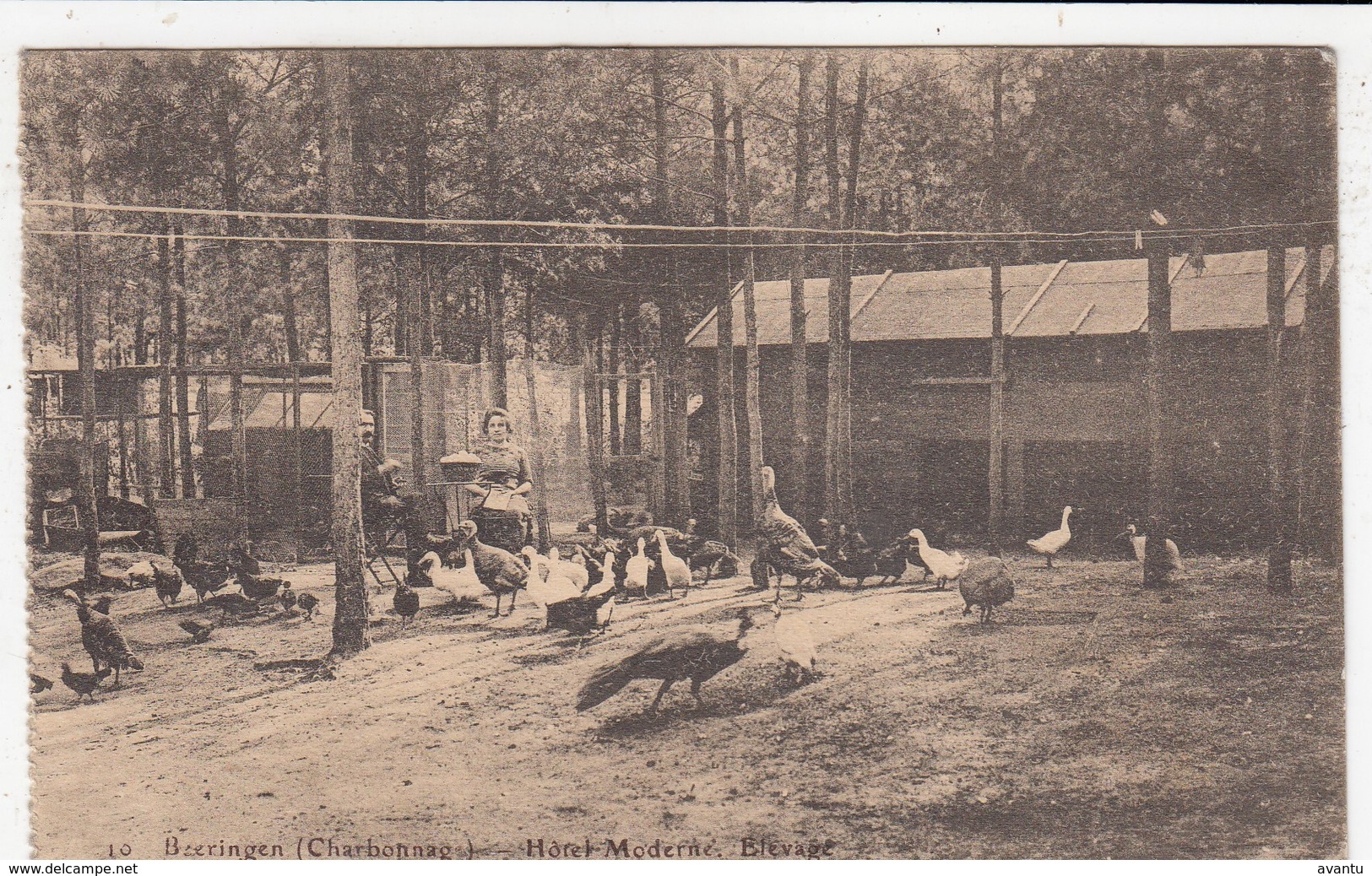 BERINGEN / HOTEL MODERNE / KIPPENREN - Beringen