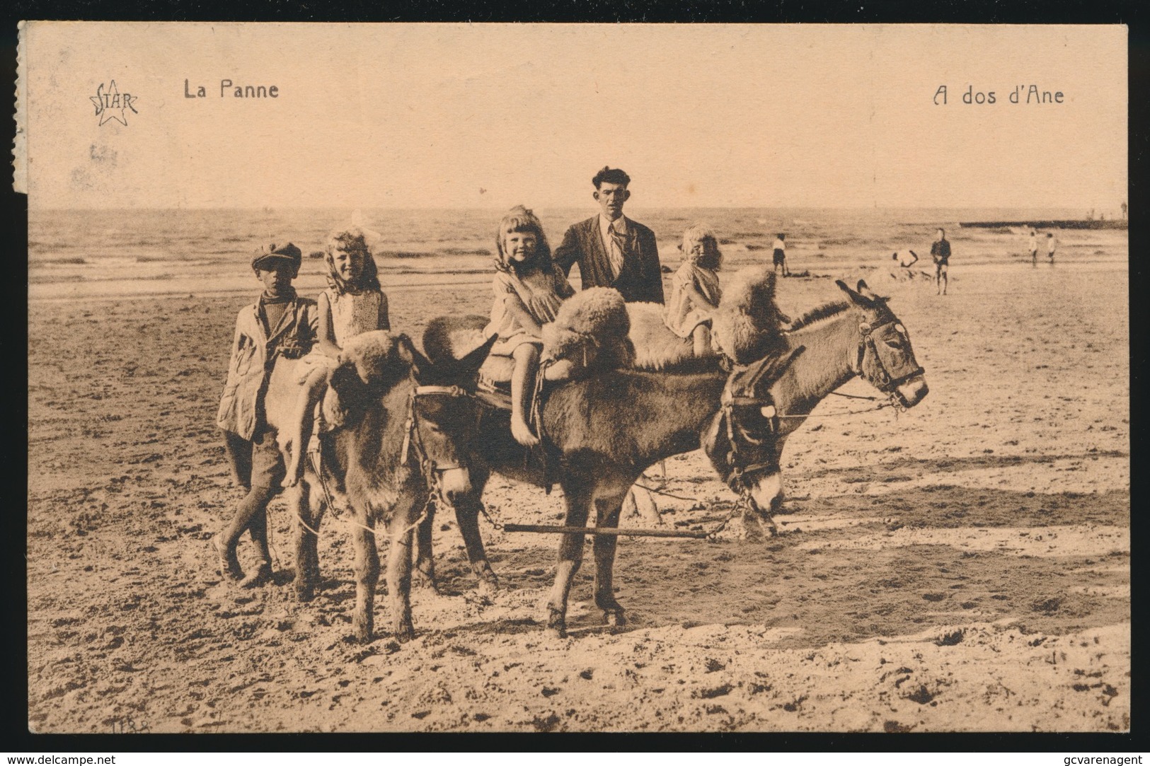 DE PANNE  A DOS D'ANE - De Panne