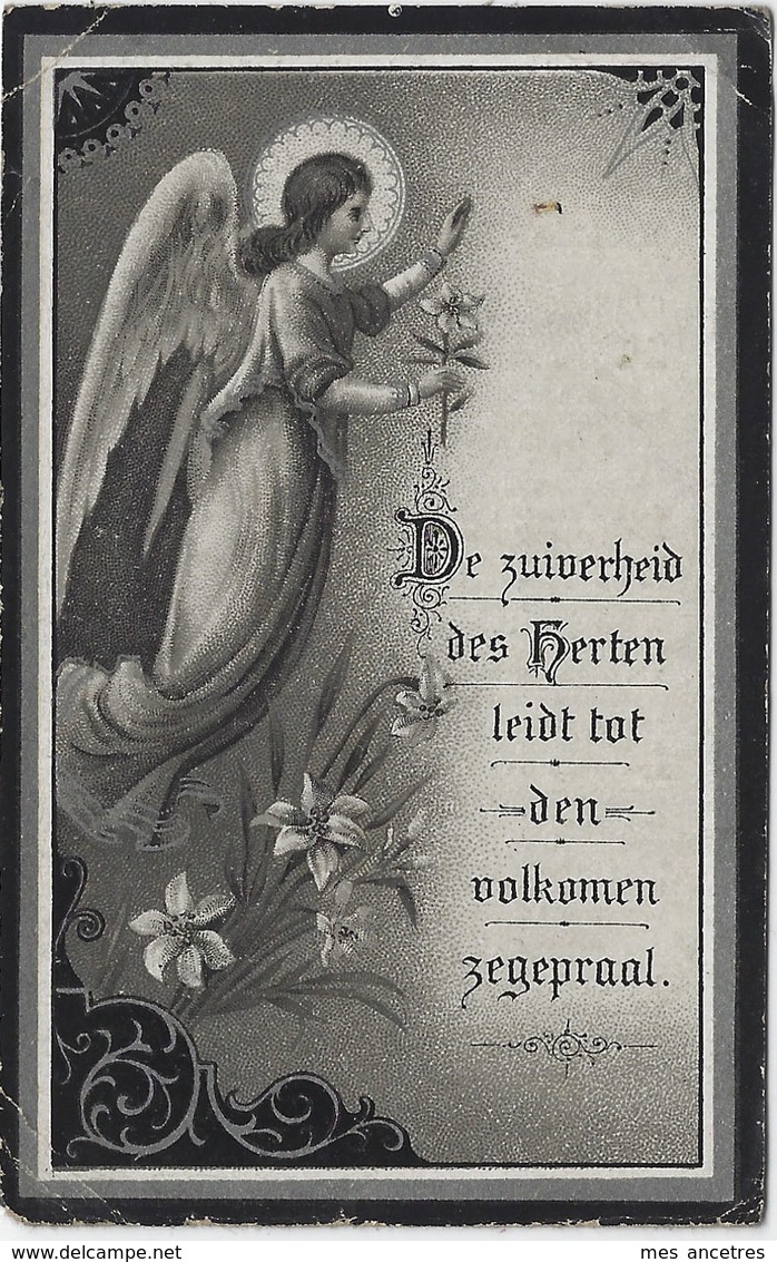 En 1907 Dranouter (B) Marie-Louise THEETEN Fille De Charles Et Rosalie VANDROMME - Décès