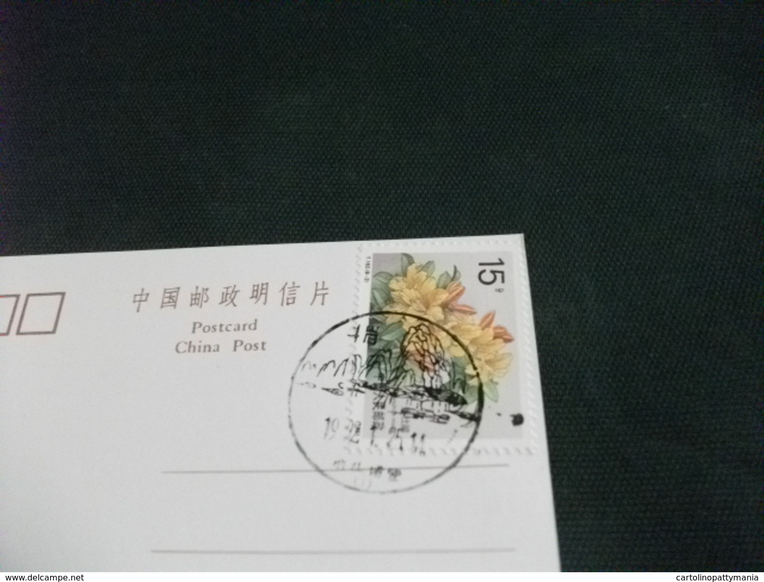 STORIA POSTALE  FRANCOBOLLO FIORI CINA CHINA ZXP VEDUTA PITTORICA - Cina