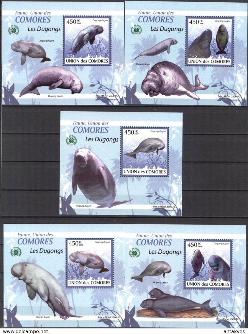 A{100} Comoros 2009 Dugongs 5 S/S Deluxe MNH** - Komoren (1975-...)