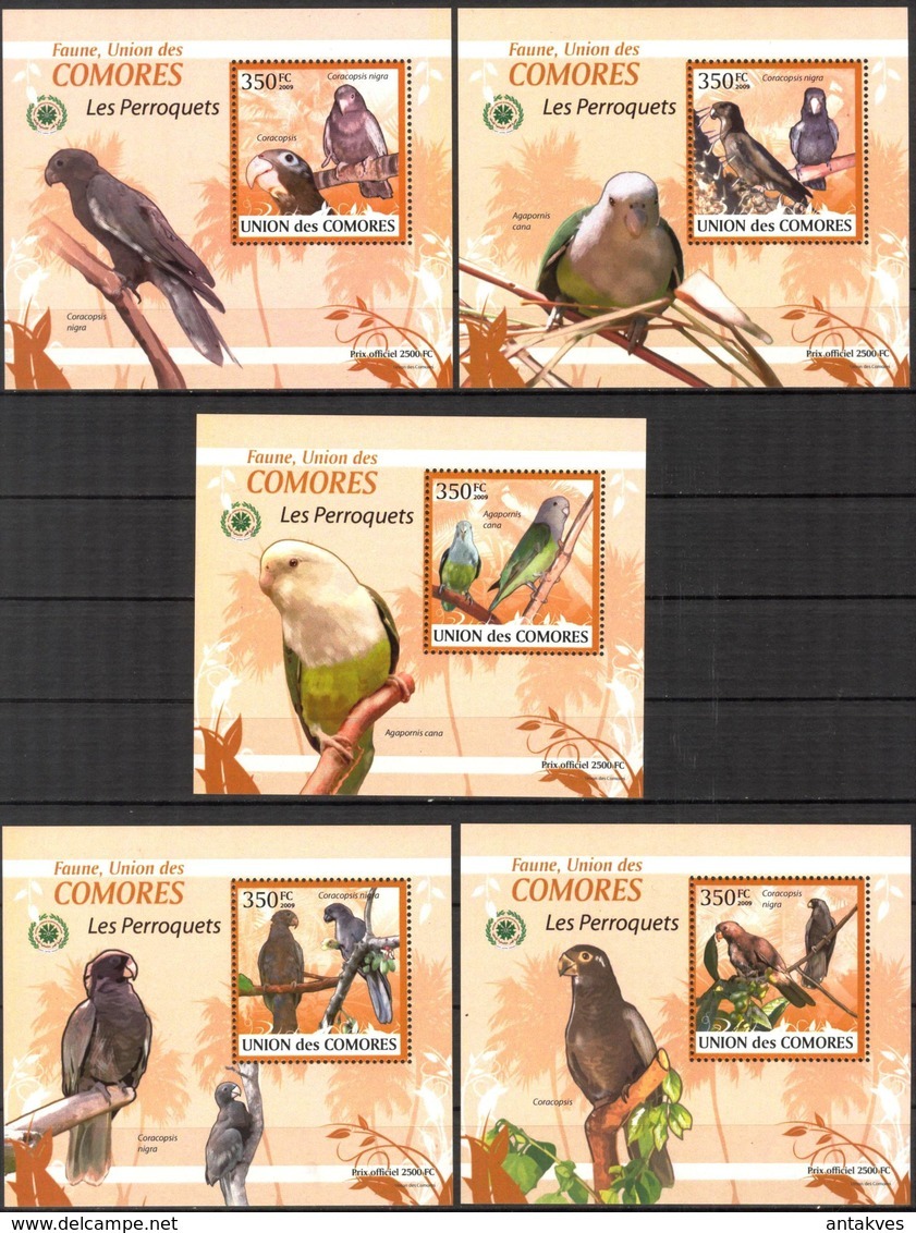 A{098} Comoros 2009 Birds Parrots 5 S/S Deluxe MNH** - Comoren (1975-...)