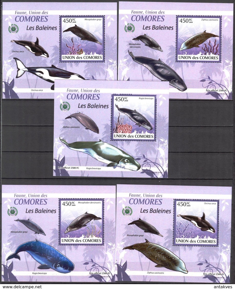 A{092} Comoros 2009 Whales 5 S/S Deluxe MNH** - Isole Comore (1975-...)