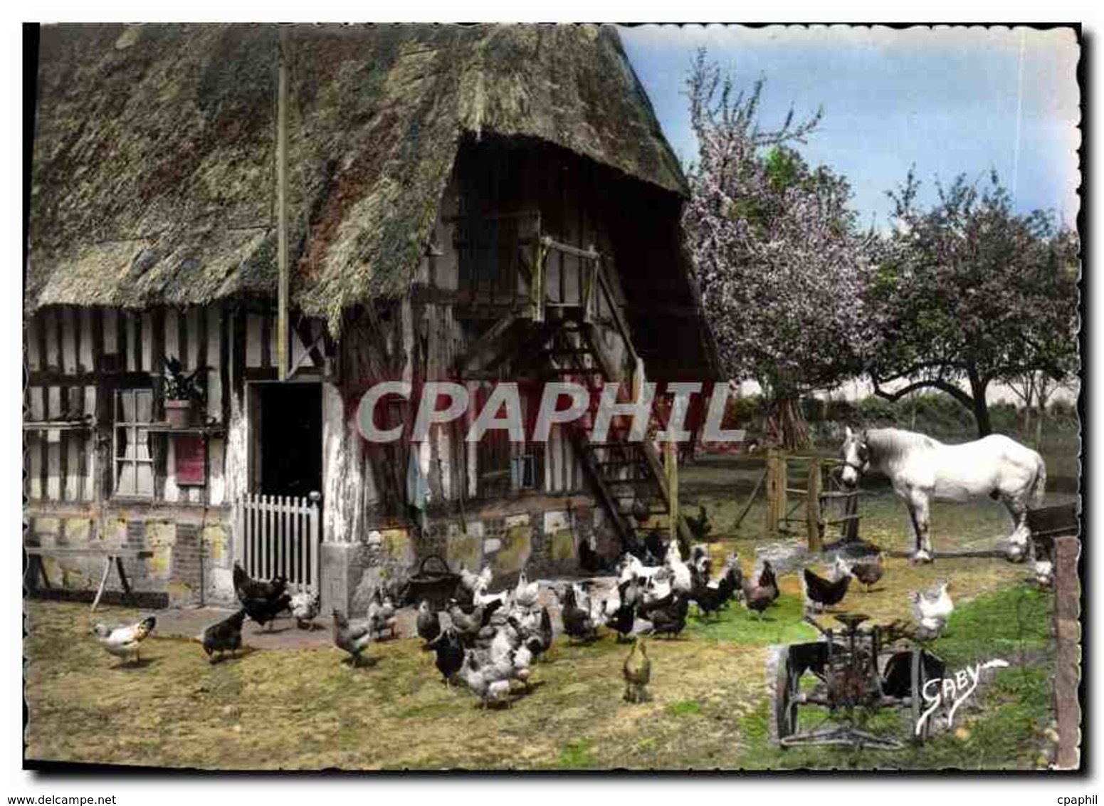 CPM La Normandie Cheval Poules Charrue - Bauernhöfe