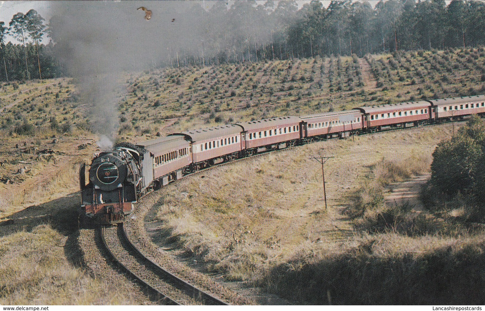 Postcard A Class 15F Locomotive Near Tzaneen South Africa By Sartravel [ Train ] My Ref  B13544 - Trains