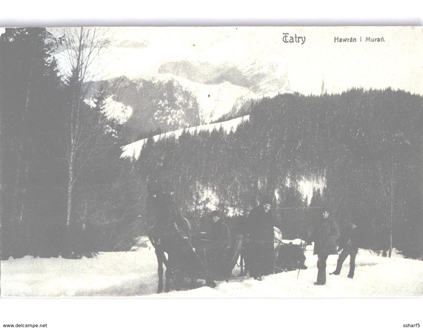 TATRY Hawrán I Muran Horse-drawn Sledge In Snow Landscape Postmark On KuK Stamp 1909 - Slovaquie